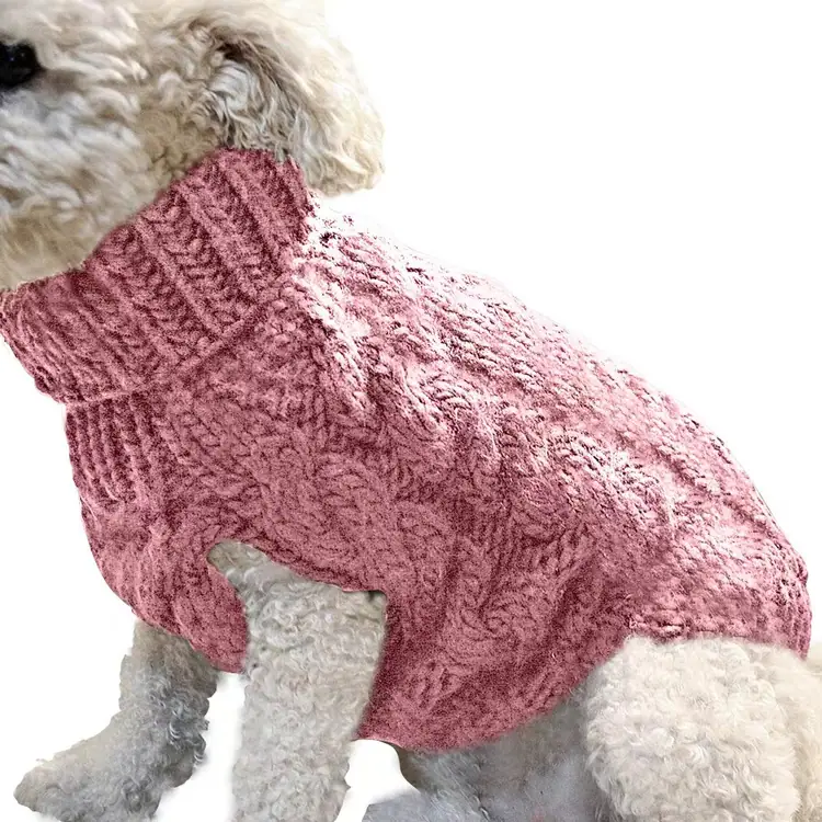A small white dog wearing a pink knitted sweater with a cable pattern.