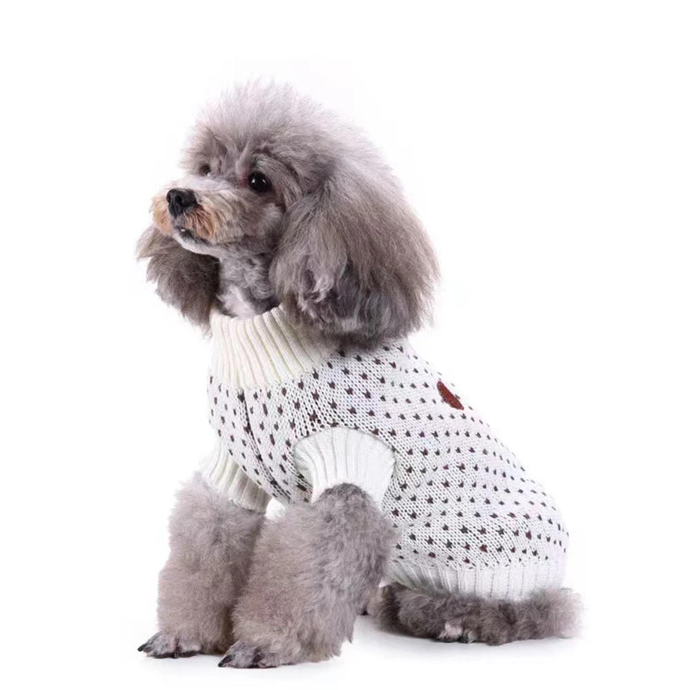 Grey poodle wearing a white knitted sweater with small dark patterns, sitting on a white background