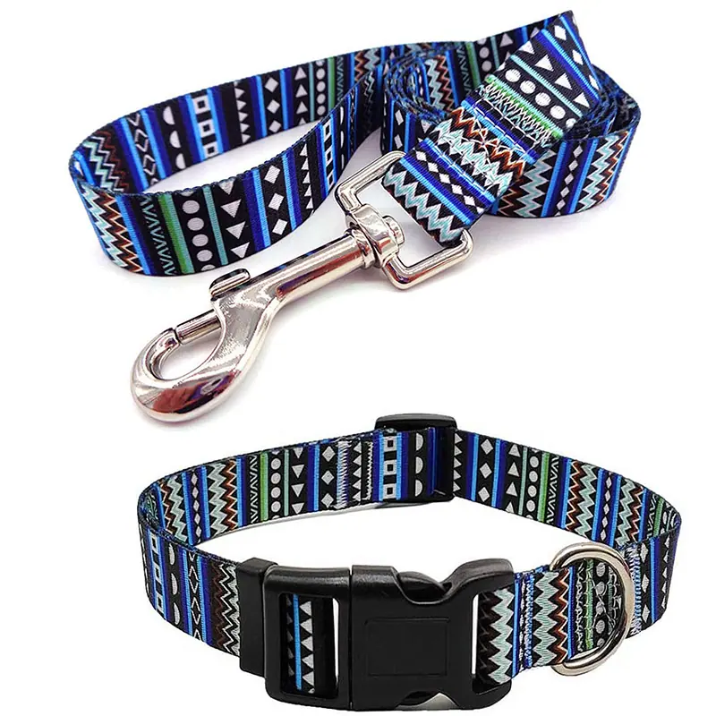 Patterned blue nylon dog leash and matching collar with metal hardware