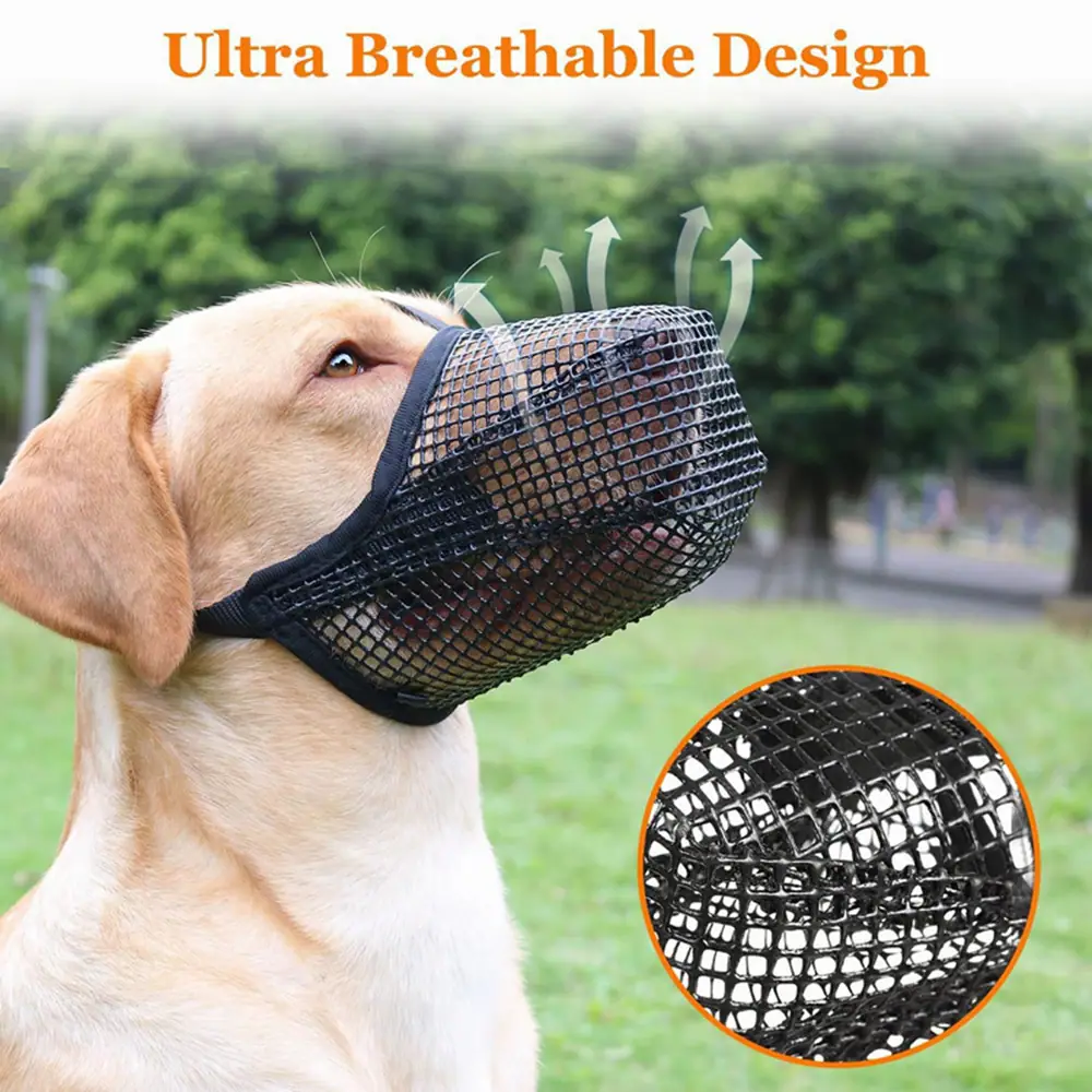 A yellow Labrador wearing a black mesh muzzle outdoors with graphic arrows and text.