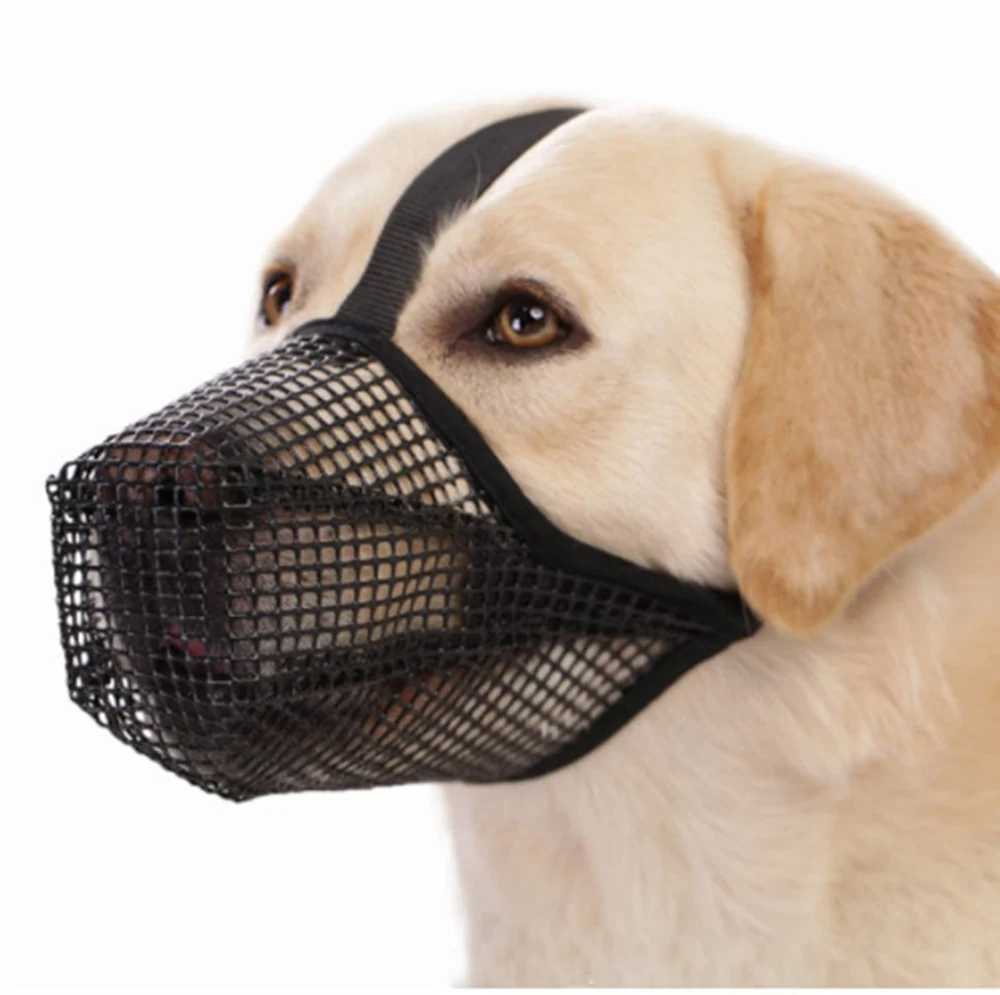 Close up of a light-colored dog wearing a black mesh muzzle.