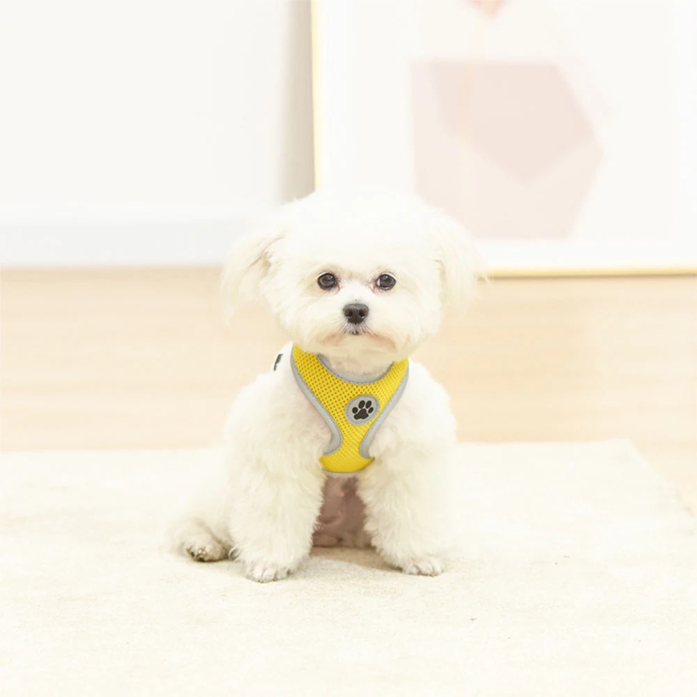 A small white fluffy puppy wearing a yellow and grey harness with a paw print logo.
