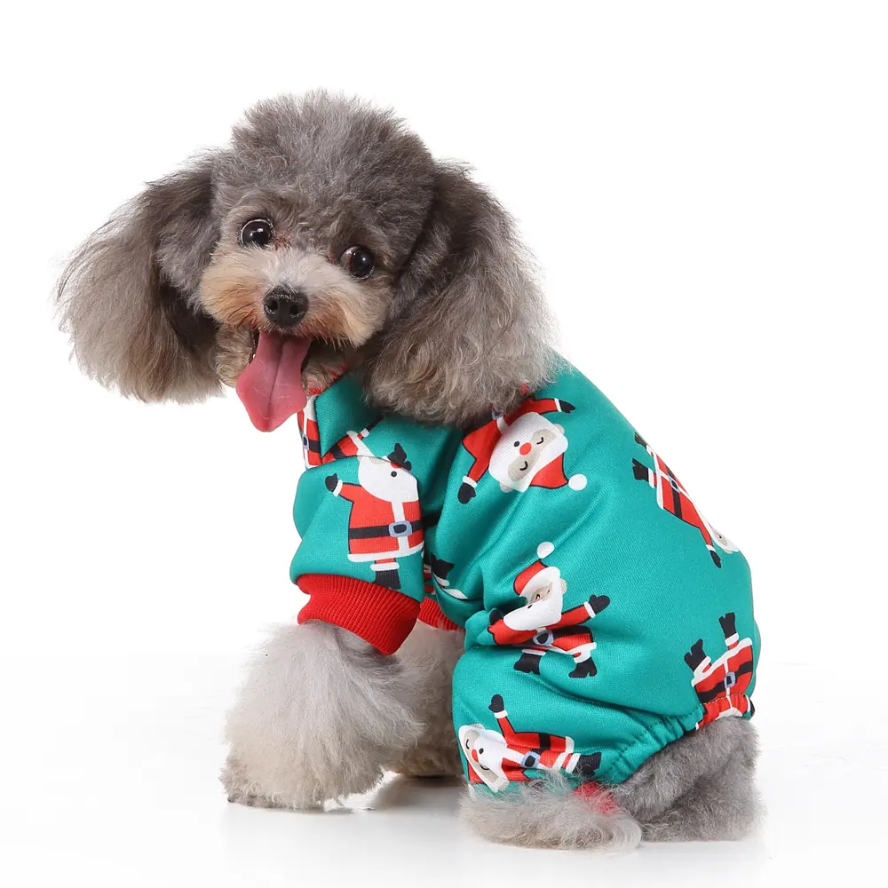 A small grey poodle sitting against a white background wearing a green four-legged sweater with a Santa Claus pattern.