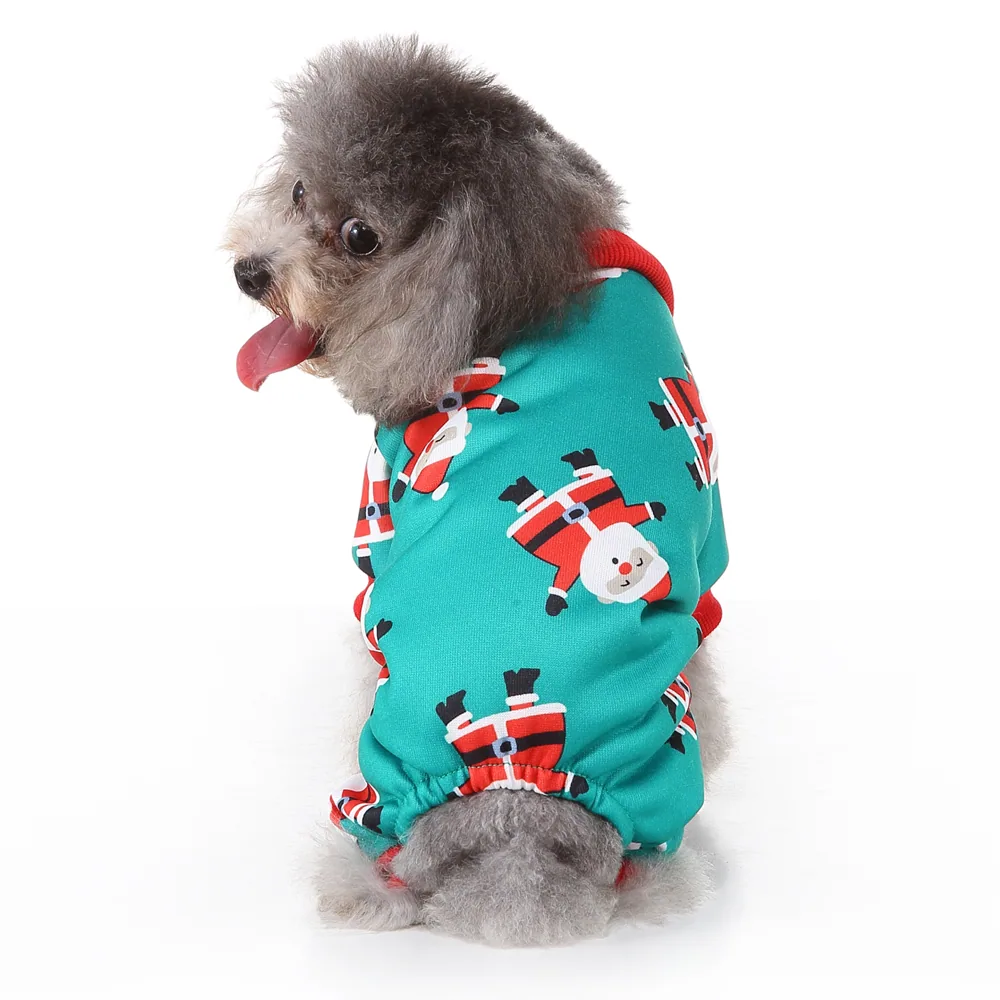 Gray poodle wearing a teal hoodie with a Santa Claus pattern