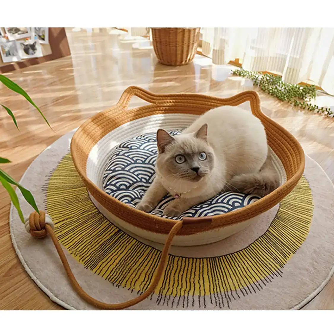 A light-colored cat with blue eyes lying in a woven basket bed with a patterned cushion.