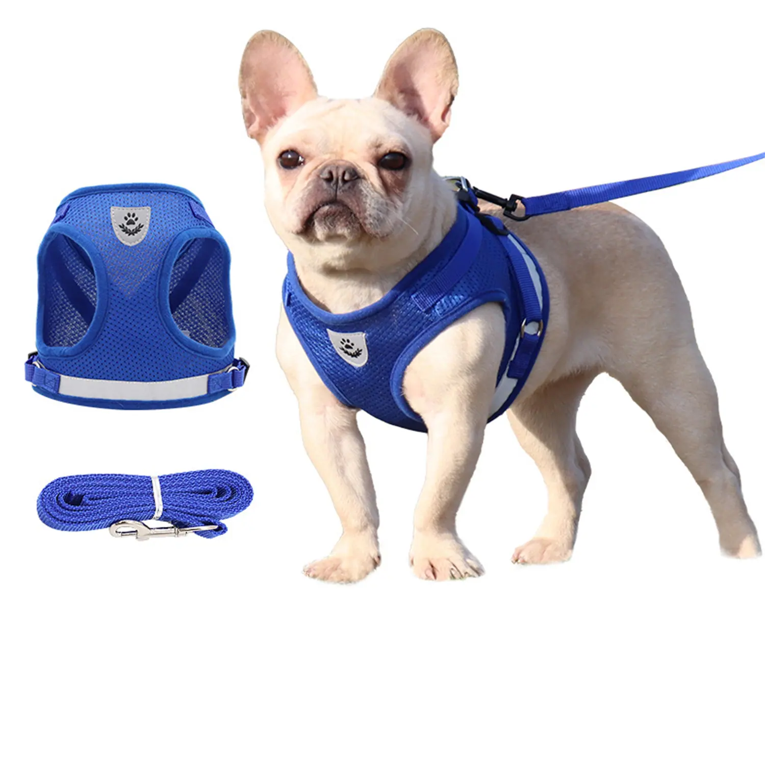 Blue dog harness and leash set shown on a French Bulldog and as separate items