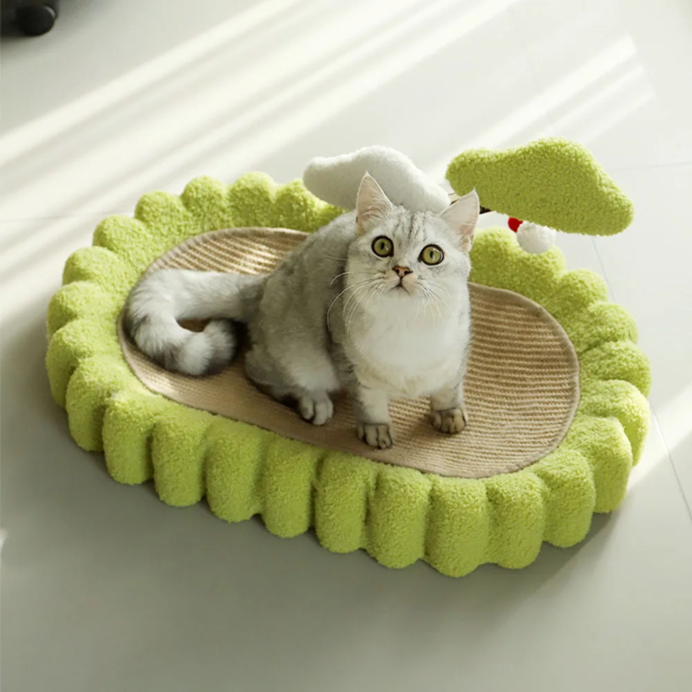 A cat sitting inside a green, plush, flower-shaped cat bed with a central scratching pad.