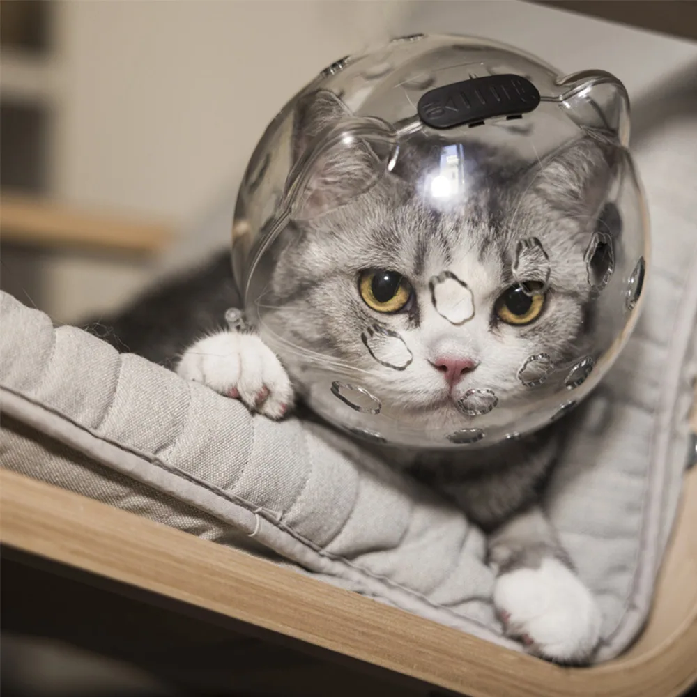 A grey and white cat wearing a clear plastic bubble helmet, resting on a soft grey cushion.