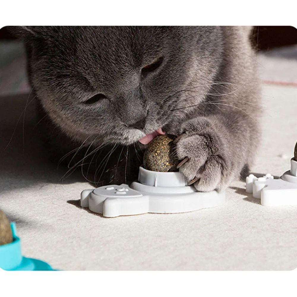 Gray cat licking a catnip ball from a white interactive puzzle feeder