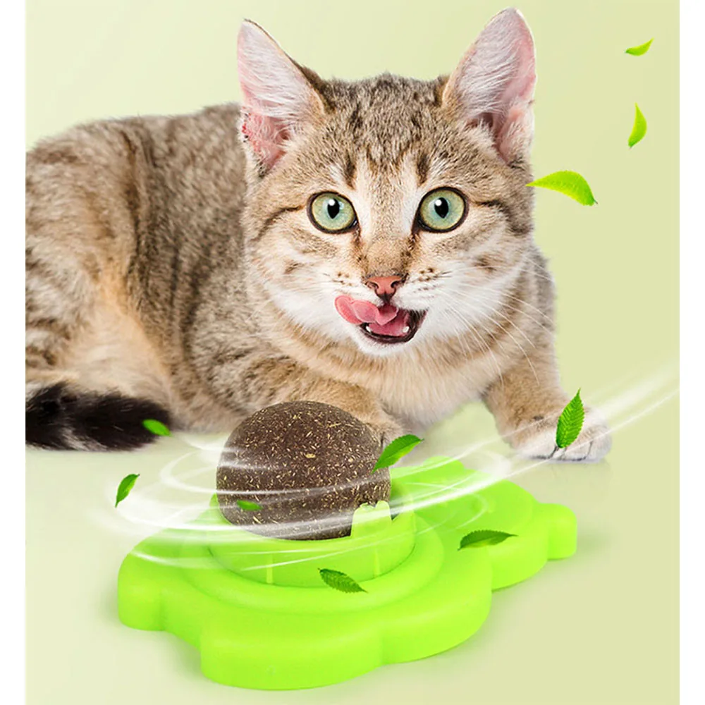 Cat looking at a brown ball on a green toy base
