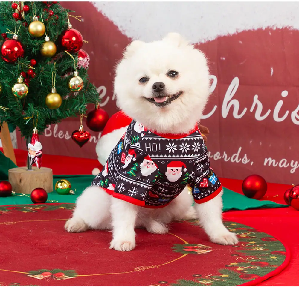 White dog wearing a Christmas sweater with Santa and snowman patterns