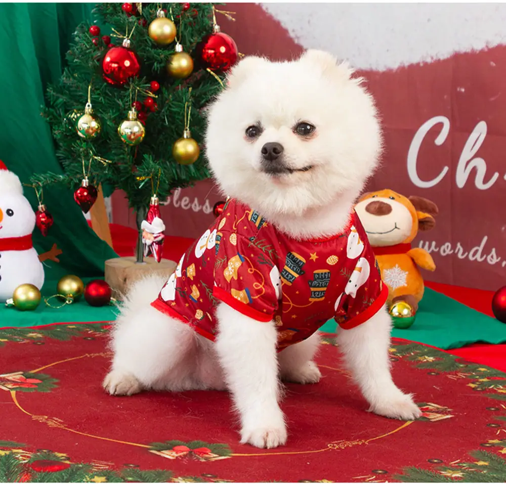 A small white dog sitting and wearing a red Christmas patterned shirt