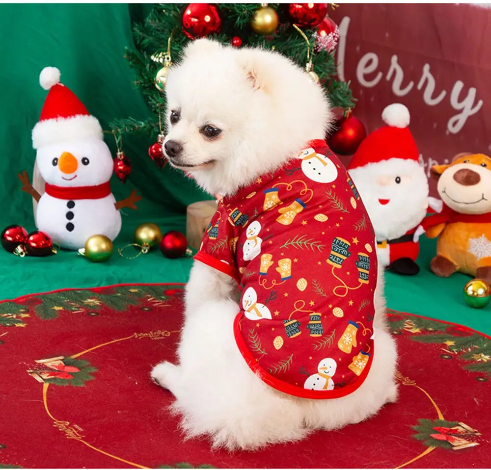 A small white dog wearing a red patterned holiday shirt sitting in front of a Christmas tree.
