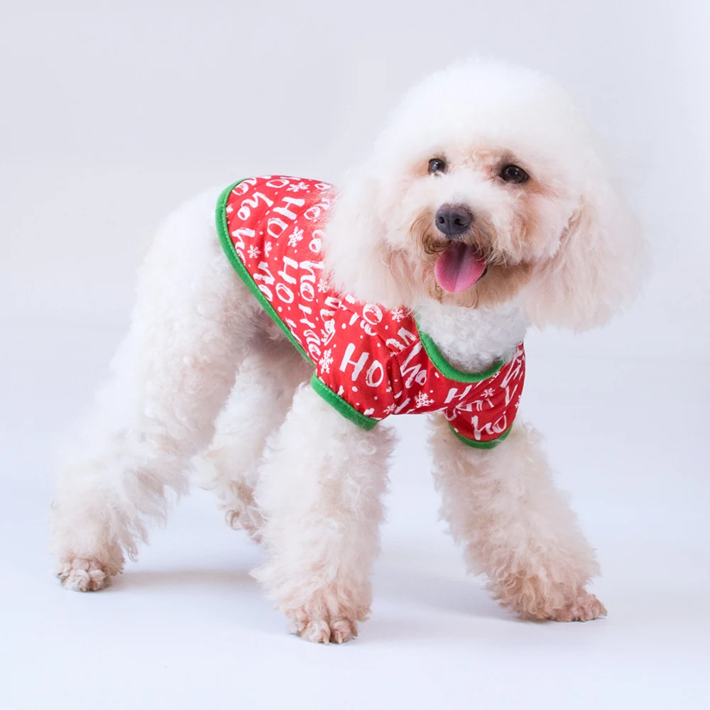 A white poodle wearing a red and green Christmas bandana with white text.