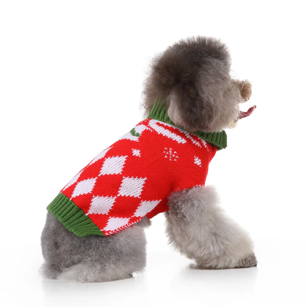 Gray poodle wearing a red and white argyle knit sweater with green trim
