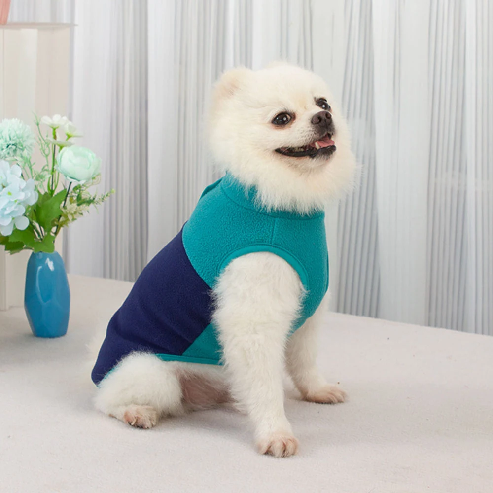 A fluffy white dog wearing a teal and navy blue sleeveless fleece vest, sitting on a table.