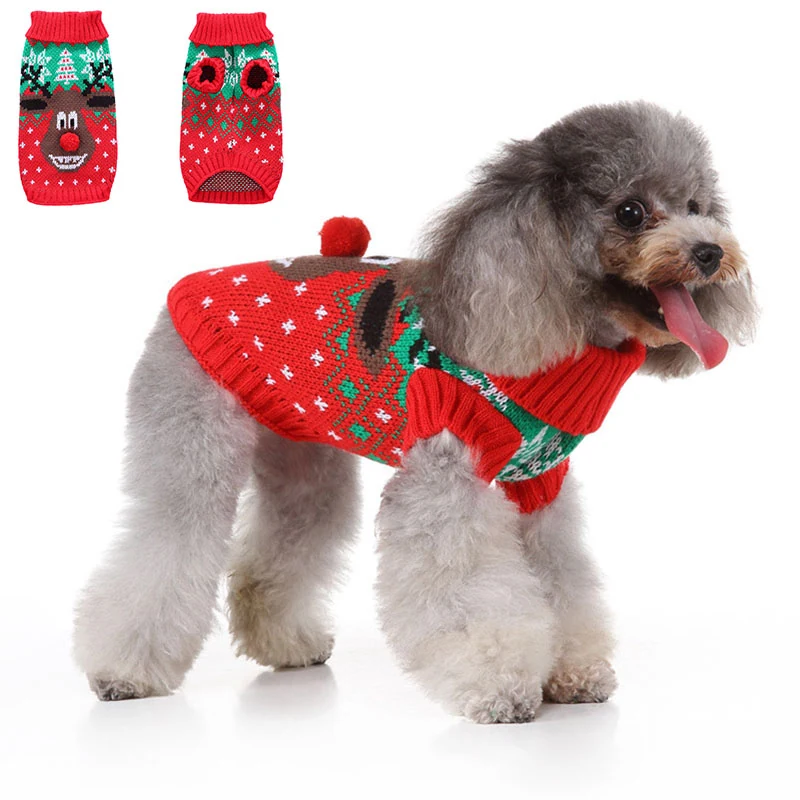Small gray dog wearing a red knitted Christmas sweater with a reindeer design.