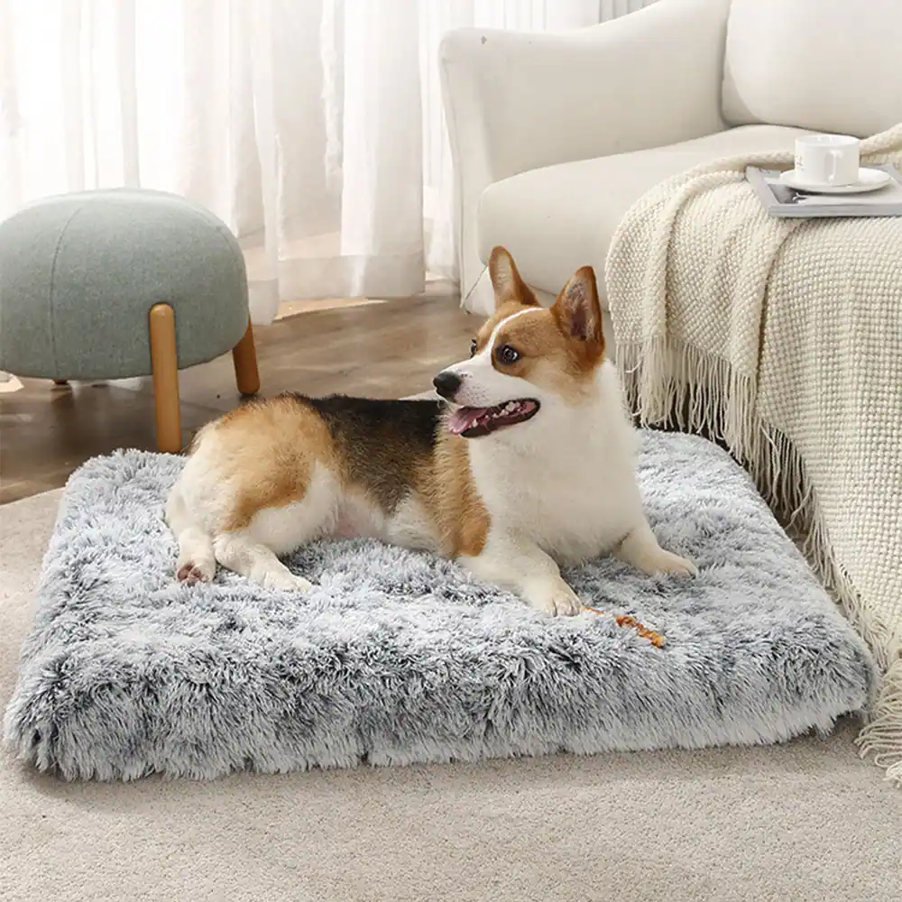 A Corgi dog lying on a fluffy grey rectangular pet mat on a carpeted floor.