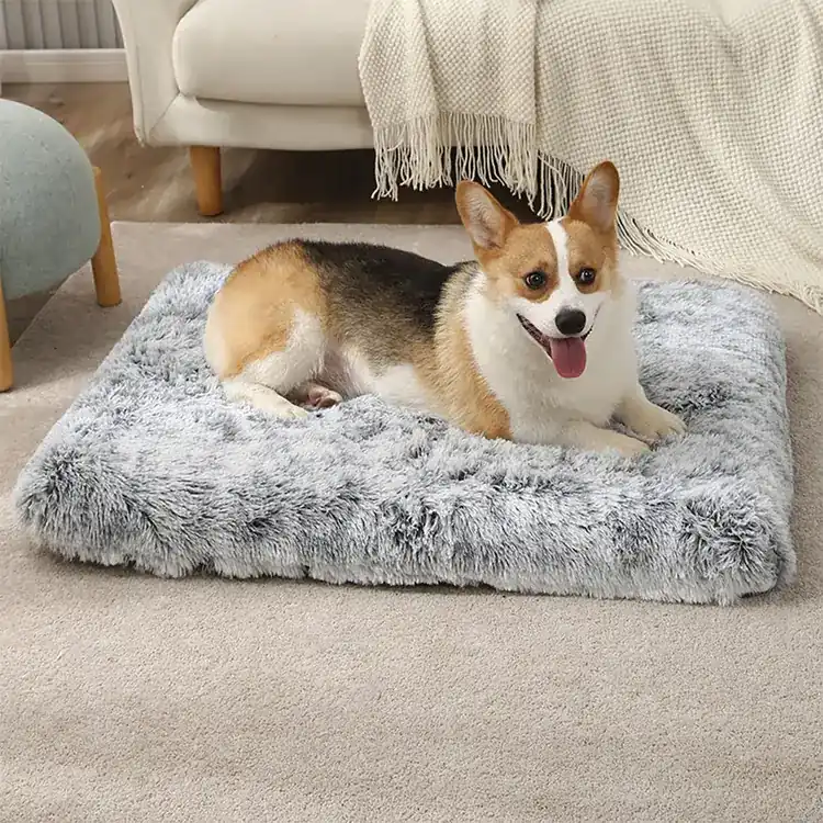 A corgi dog lying on a fluffy gray square pet mat on a carpeted floor.