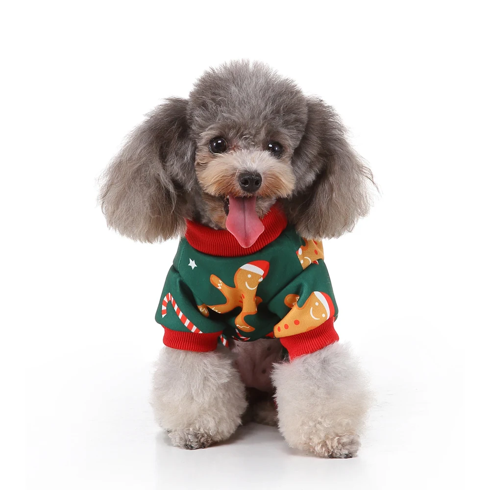 A gray poodle wearing a green Christmas sweater with gingerbread man and candy cane prints.