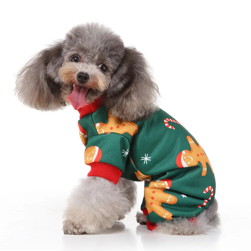 A grey poodle sitting and wearing a green Christmas sweater with a gingerbread man pattern.