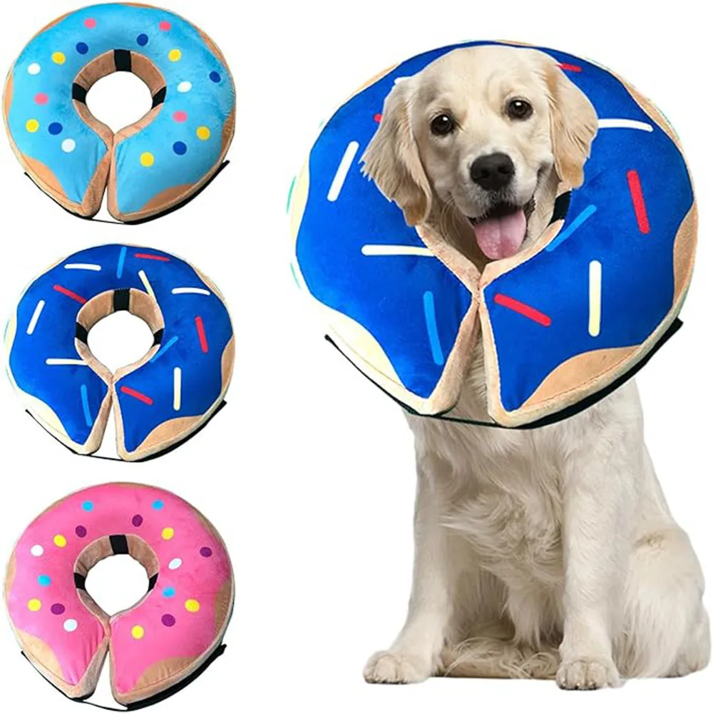 A golden retriever wearing a blue donut-shaped pet recovery collar, with three other color options shown.