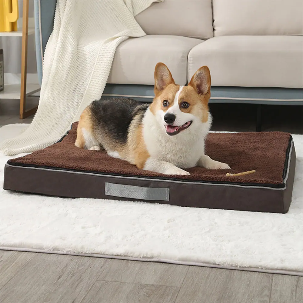 A Corgi dog resting on a brown rectangular pet bed with a side handle, placed on a white rug.