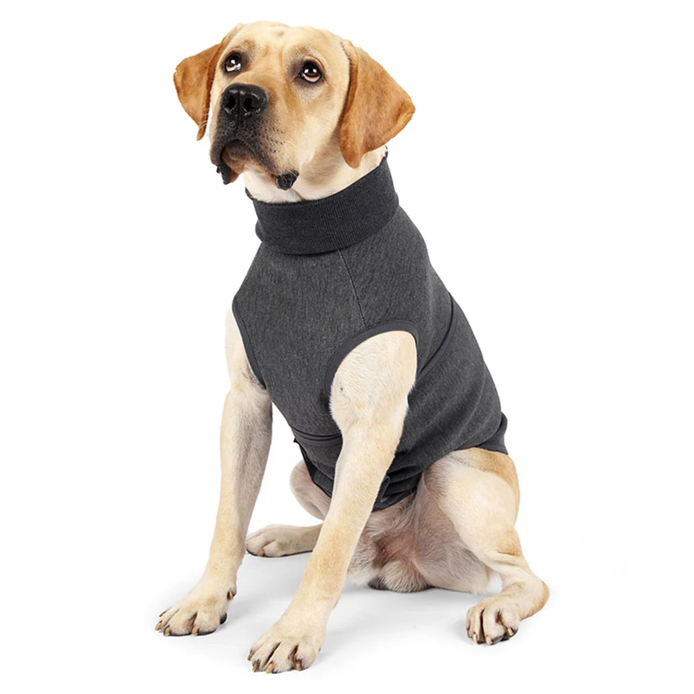 Yellow Labrador Retriever sitting and wearing a dark grey sleeveless turtleneck garment