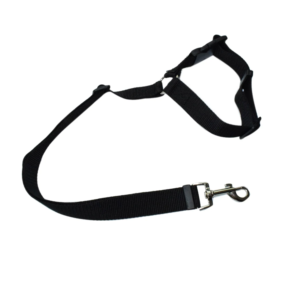 Black webbing harness with attached leash and metal clasps on a white background