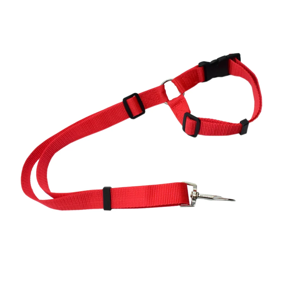 Red adjustable nylon dog harness with black buckles and metal leash clip on a white background