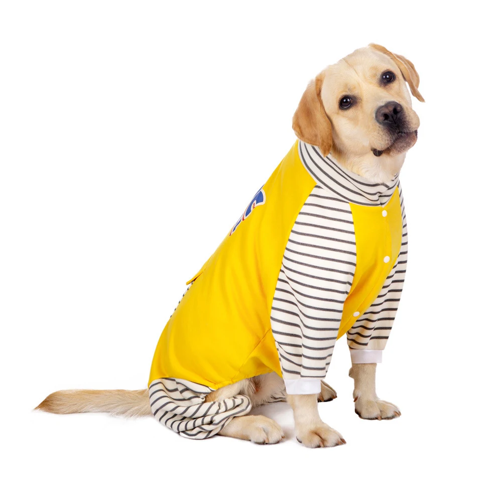 Yellow Labrador Retriever sitting and wearing a yellow and white striped raglan dog t-shirt