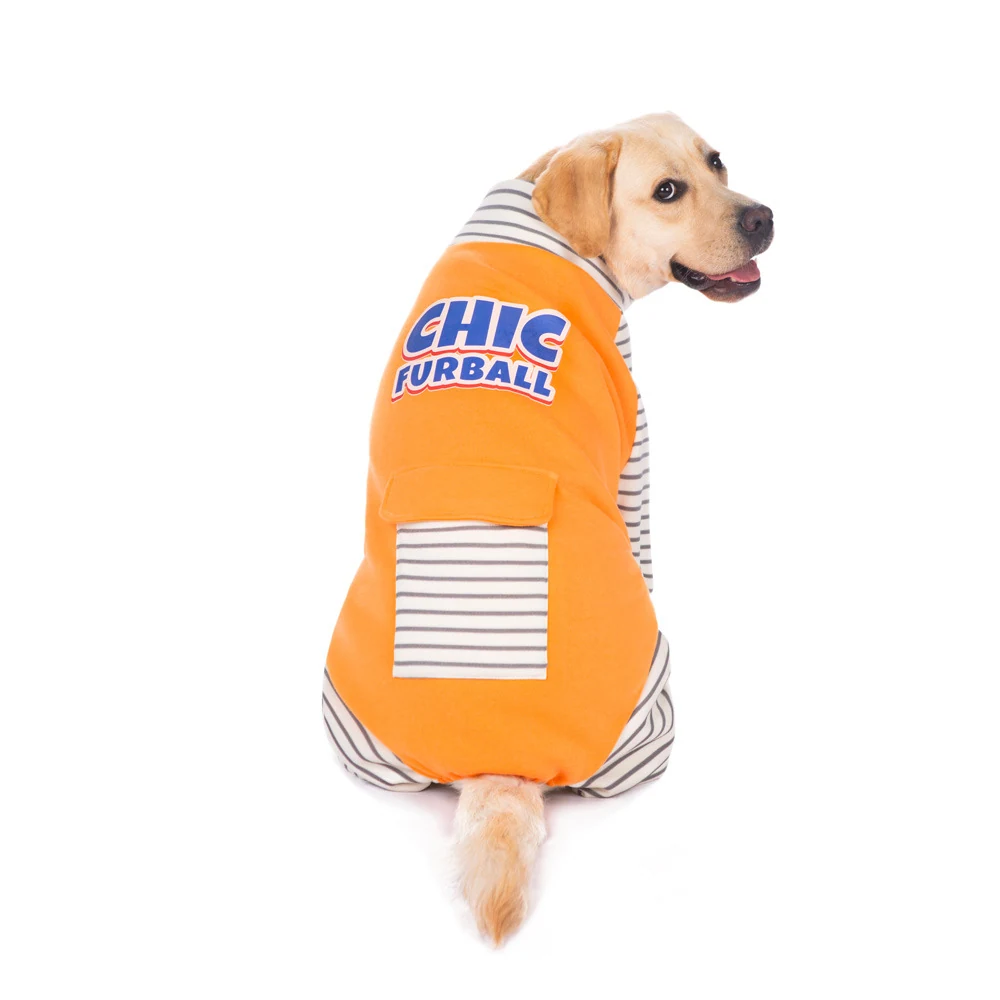 Yellow Labrador wearing an orange dog vest jacket with striped lining on a white background