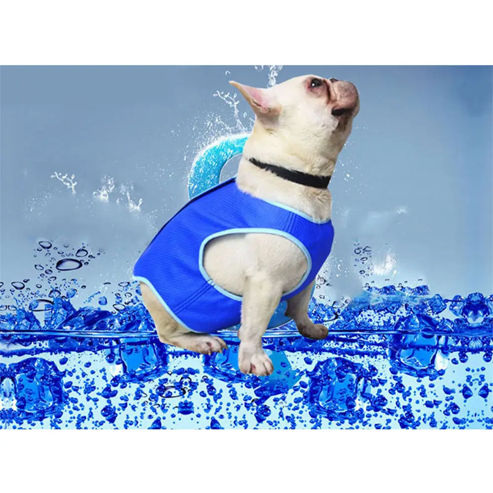 Cream French Bulldog wearing a blue mesh life vest standing in water with splashes.