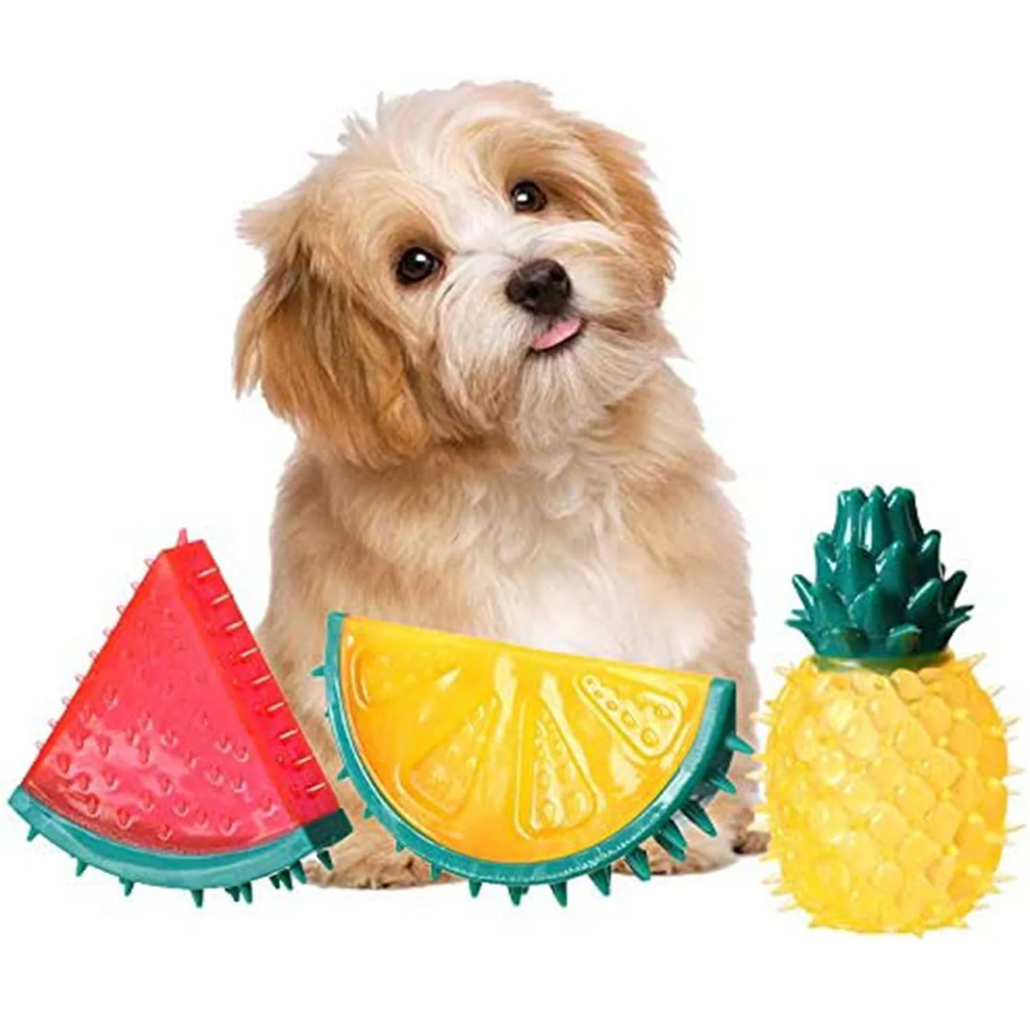 Small fluffy dog sitting behind three fruit-shaped rubber chew toys: a watermelon slice, orange slice, and pineapple.