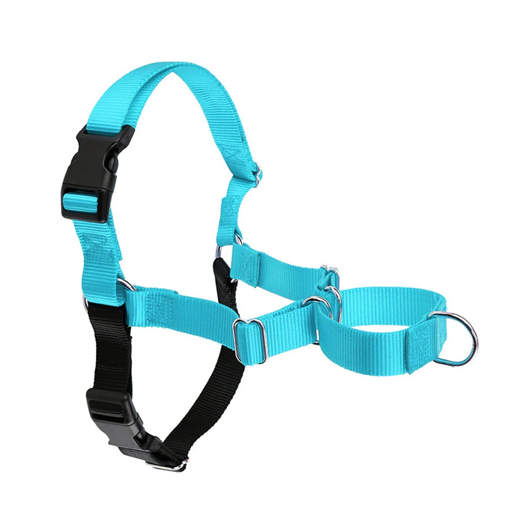 Turquoise and black nylon dog harness with adjustable straps, plastic buckles, and metal D-rings.