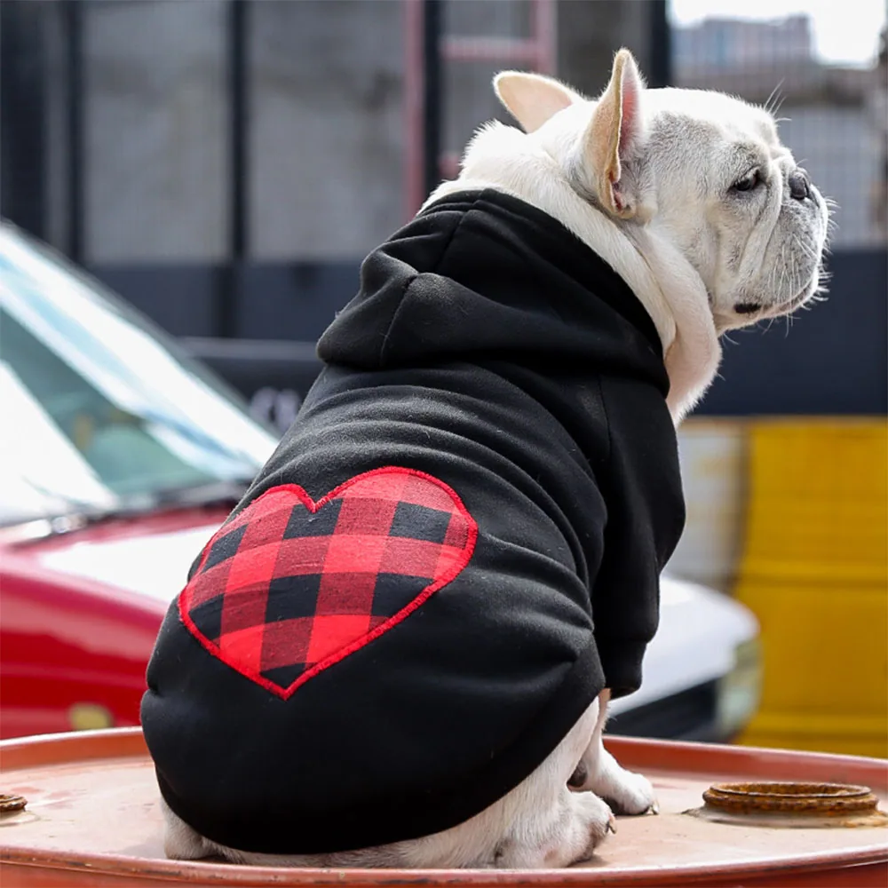 A French Bulldog wearing a black hoodie with a red and black plaid heart on the back