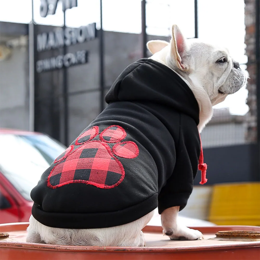 A white French bulldog sitting on a red barrel wearing a black hoodie with a red and black checkered paw print.