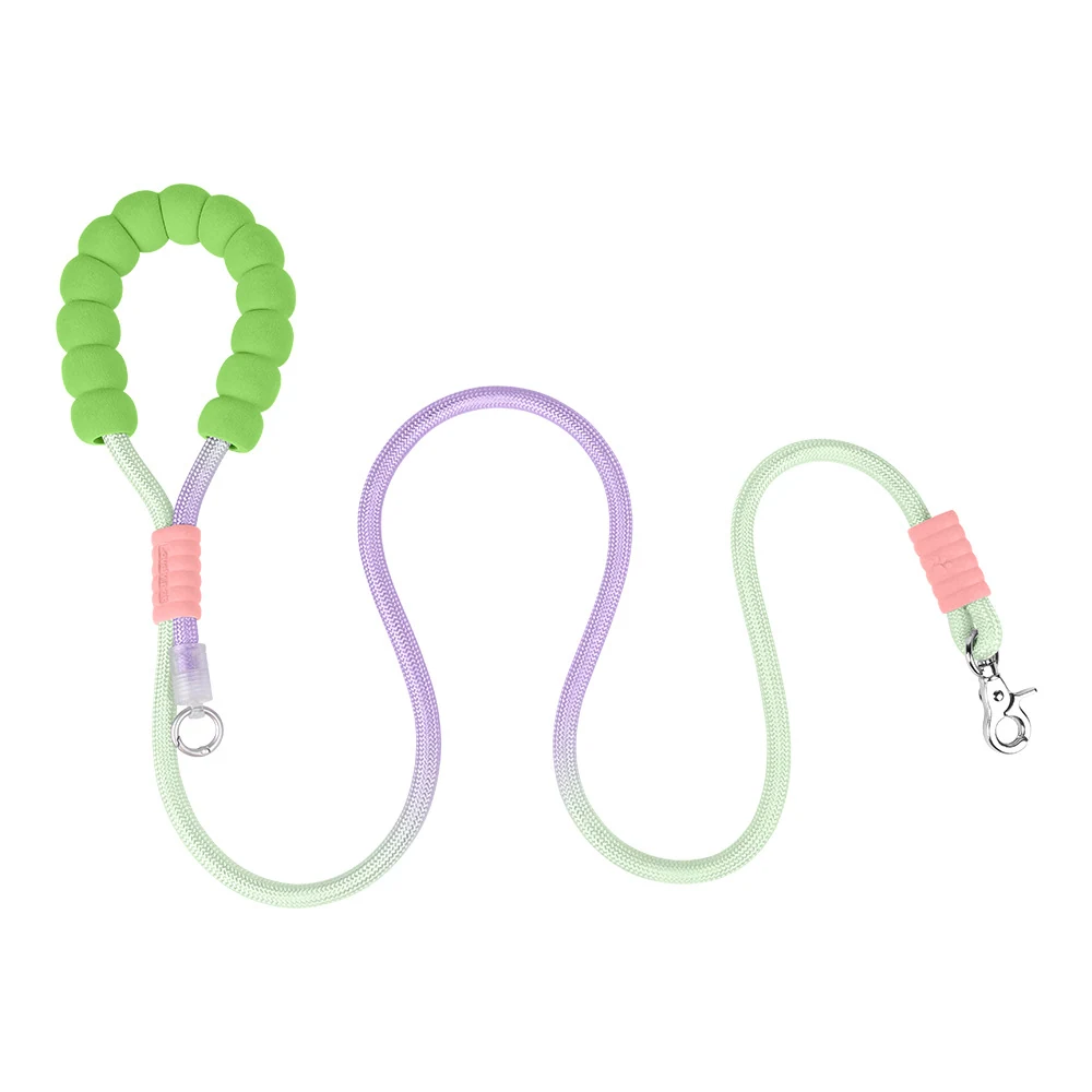 Pastel green, pink, and purple dog leash with padded handle and metal clasp on white background