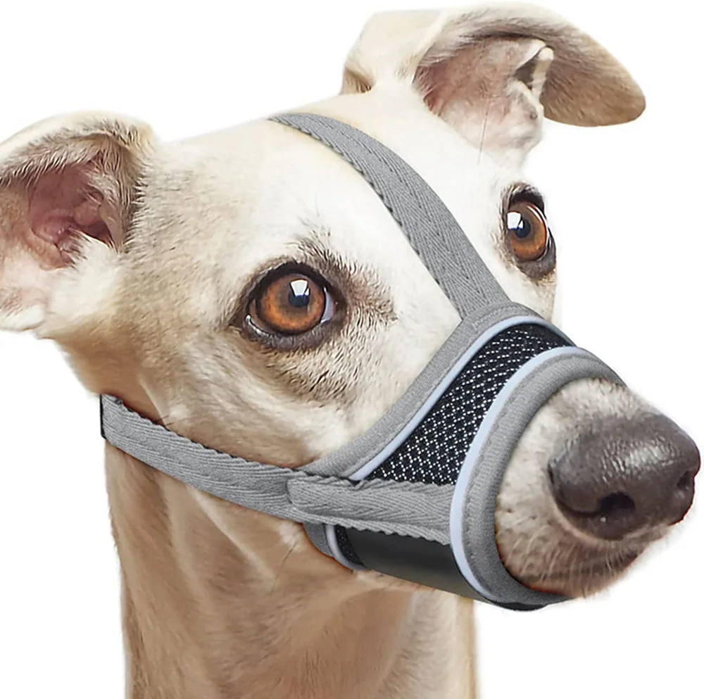 A white dog wearing a gray and black mesh muzzle against a white background.