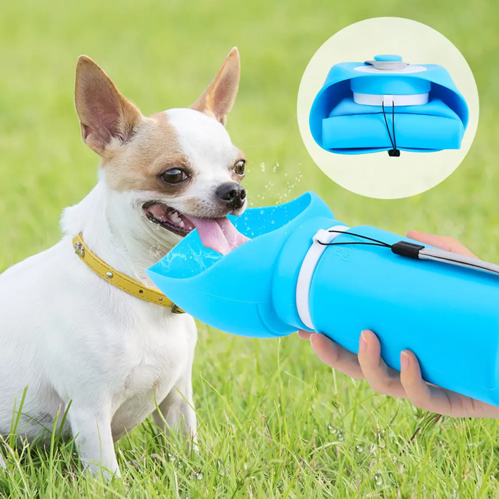 A person giving a chihuahua water from a blue portable dog bottle on grass