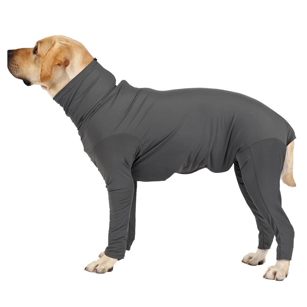 Side profile of a light brown dog wearing a full-body gray compression suit with sleeves and leg coverings.