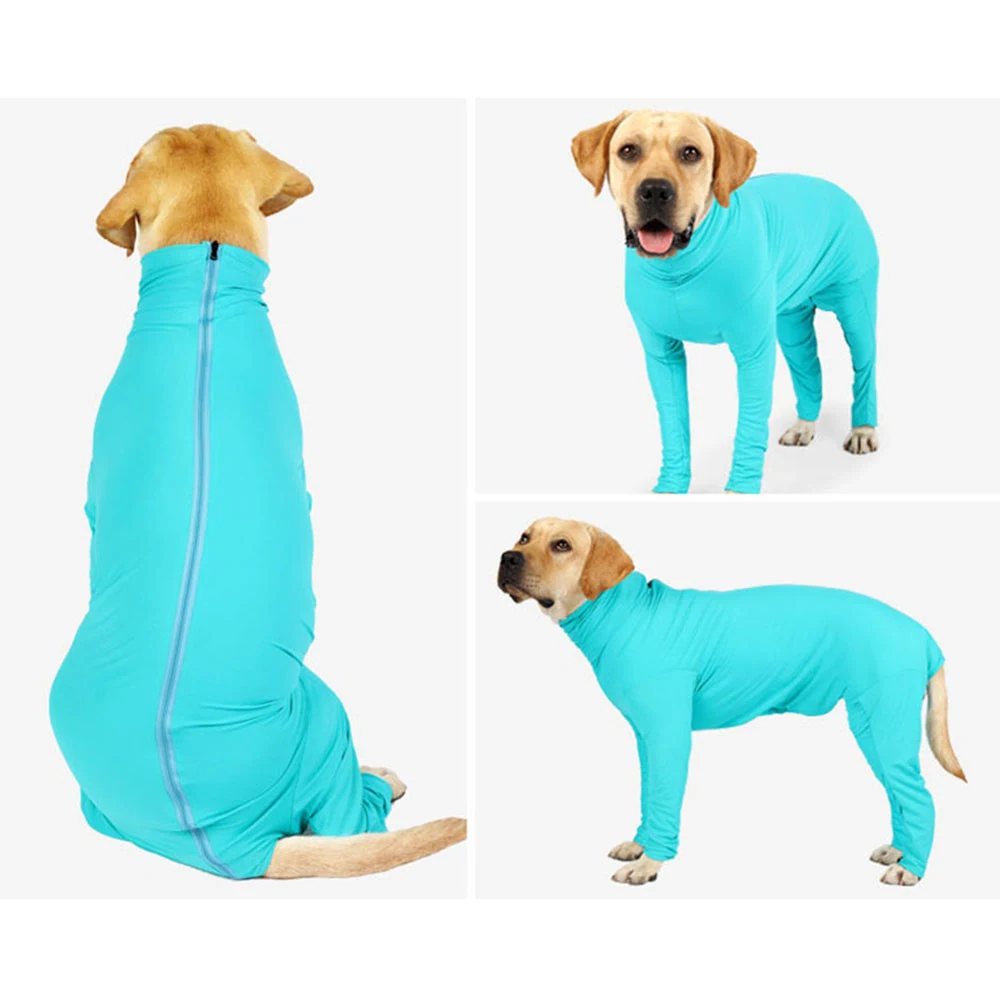 Collage showing a yellow labrador wearing a teal full-body dog suit from back, front, and side views.