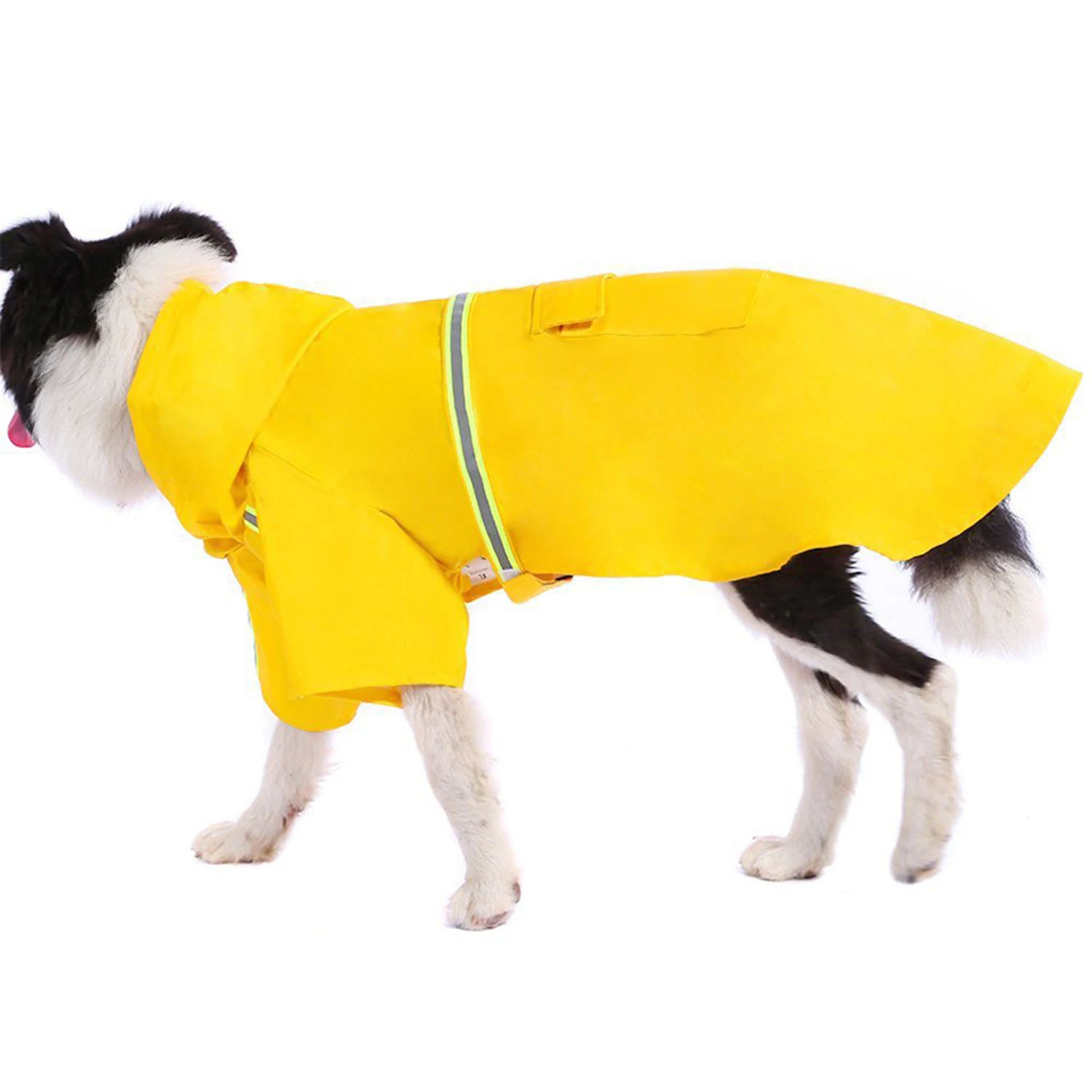 A black and white dog modeling a yellow raincoat with reflective stripes.