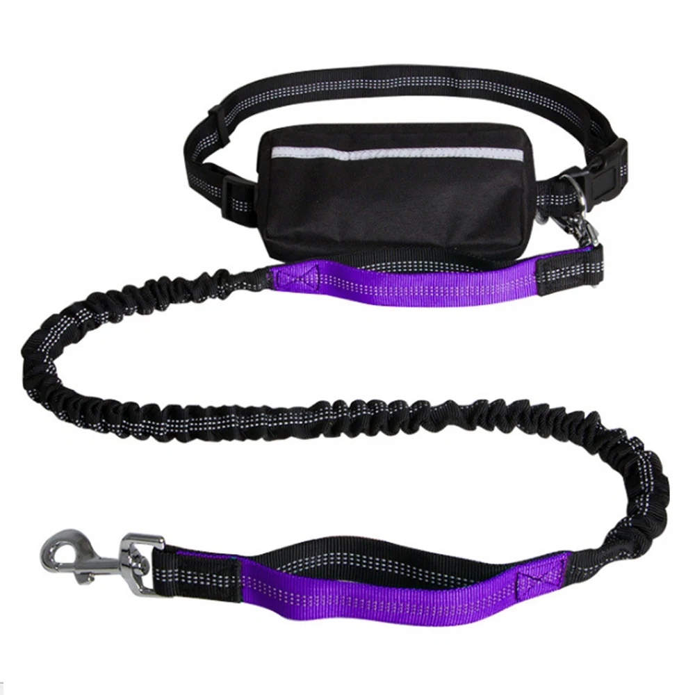 Black and purple hands-free dog leash with waist belt, bungee cord, and metal clip
