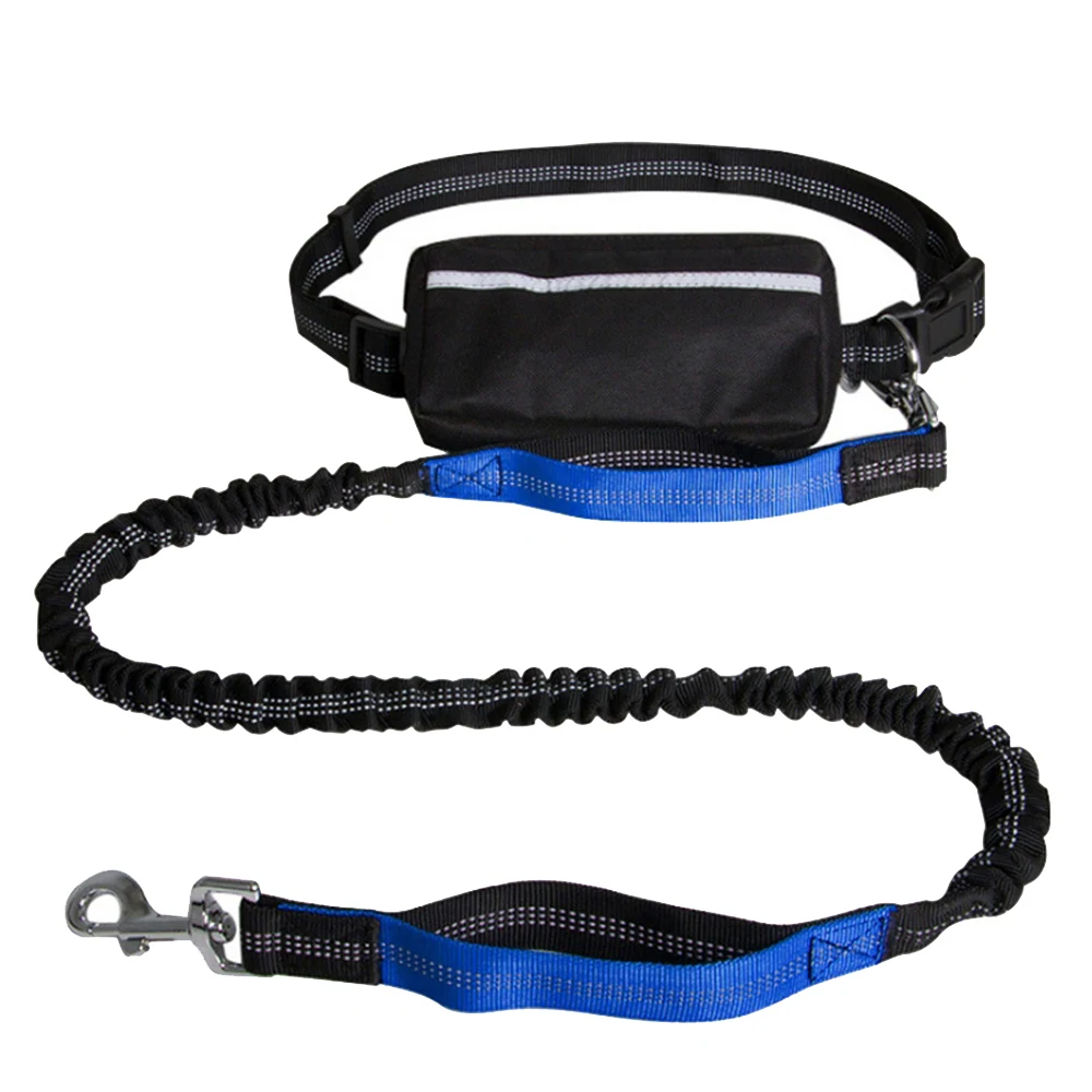 Black and blue elastic safety lanyard with metal snap hook and padded waist belt on white background