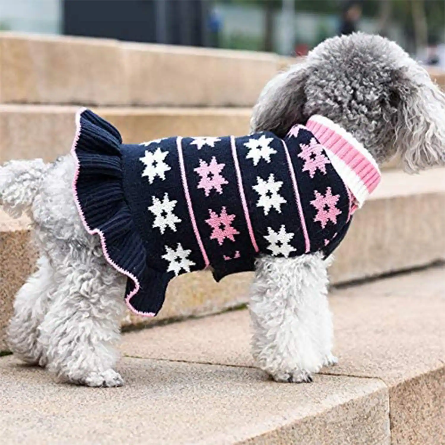 A grey poodle wearing a black knit sweater with a pink and white snowflake pattern and a frilled hem.