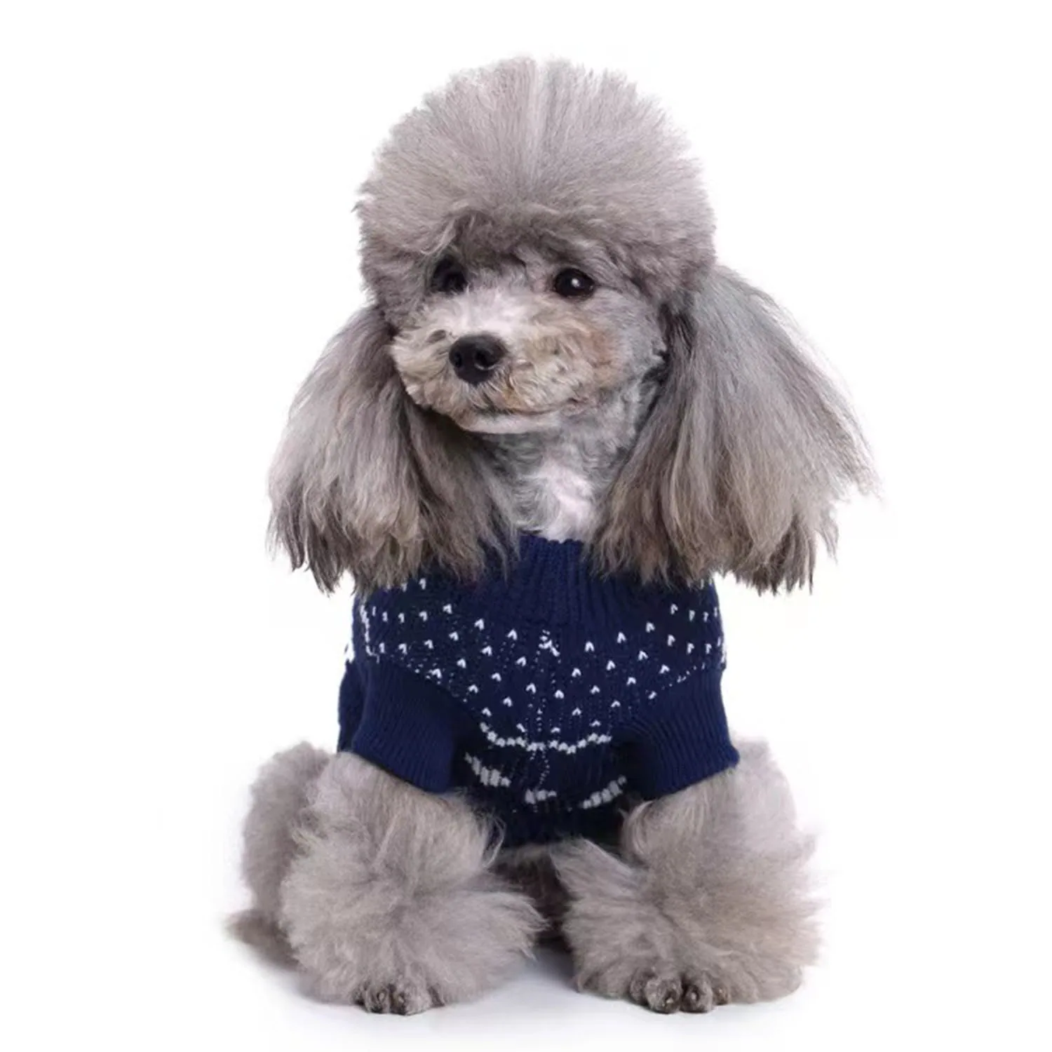 A grey poodle wearing a dark blue knitted sweater with a white pattern