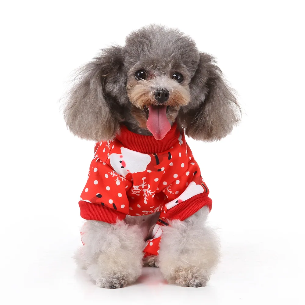 Grey poodle sitting wearing a red sweater with white polka dots and snowman patterns