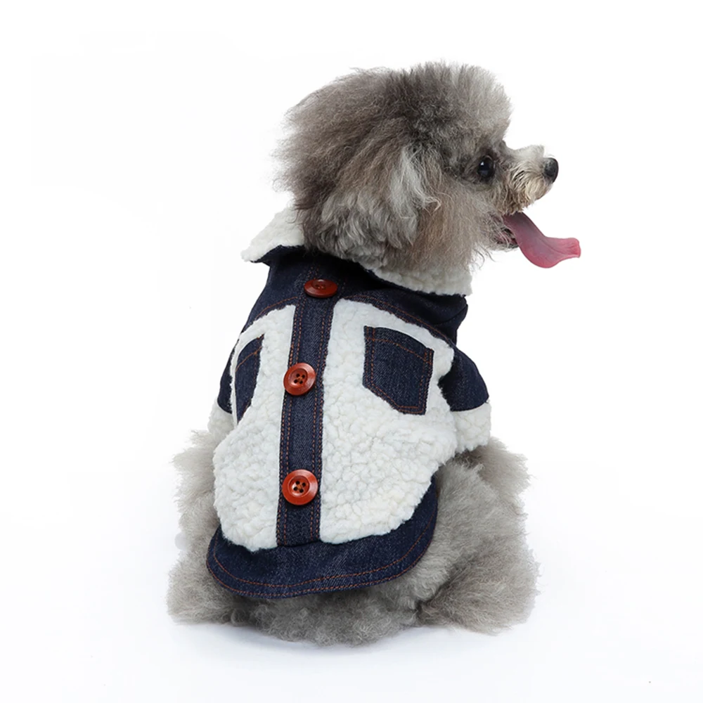 A grey poodle wearing a denim and sherpa jacket with brown buttons.