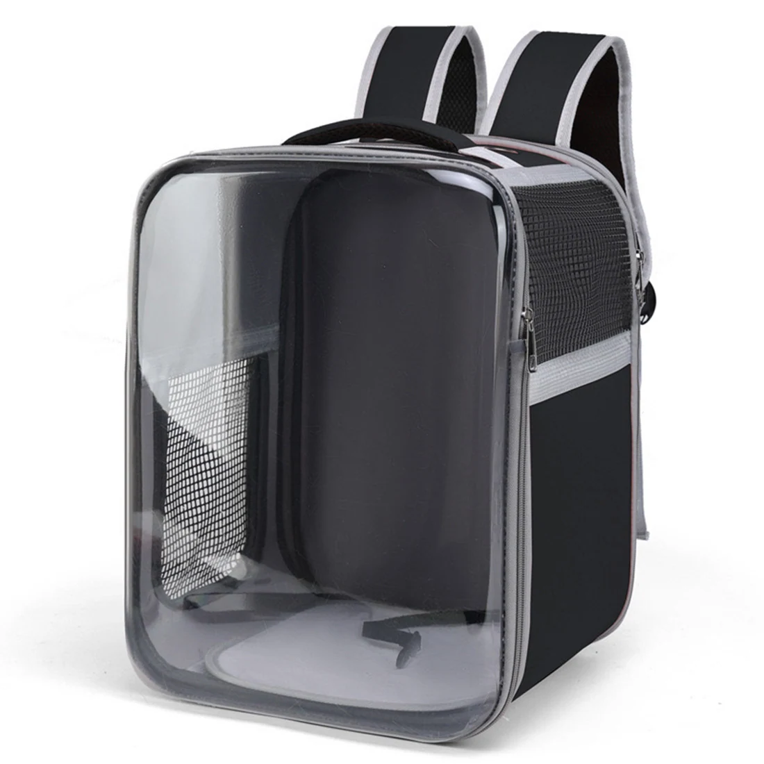 Black backpack with a large transparent front panel and mesh side pockets on a white background